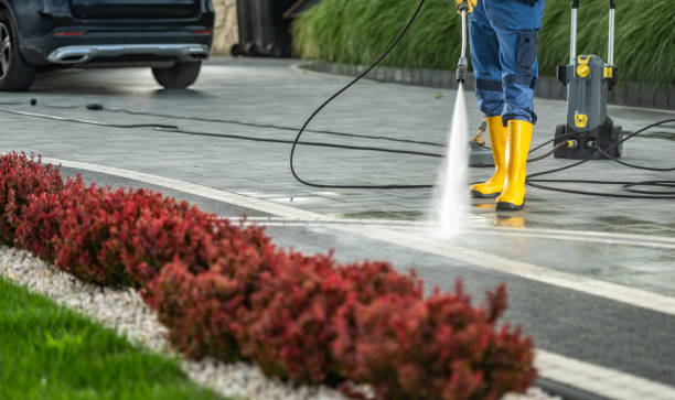 Best Gutter Cleaning  in West Sharyland, TX